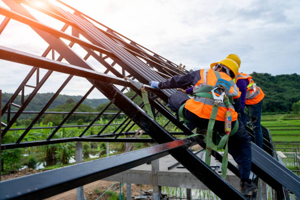 Best Gutter Installation and Roofing  in Mount Vernon, AL
